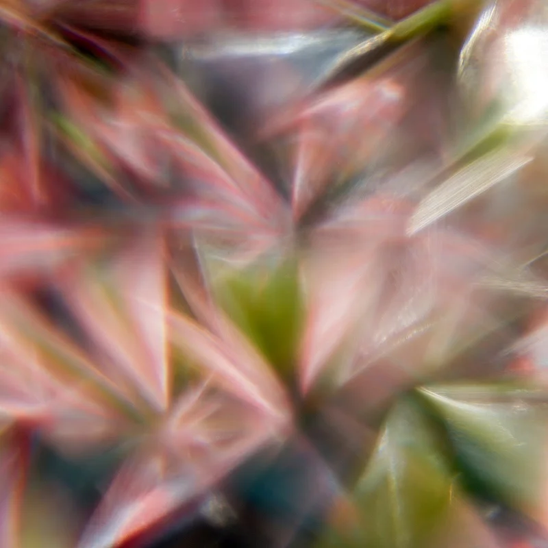 2026_05_10_3240062