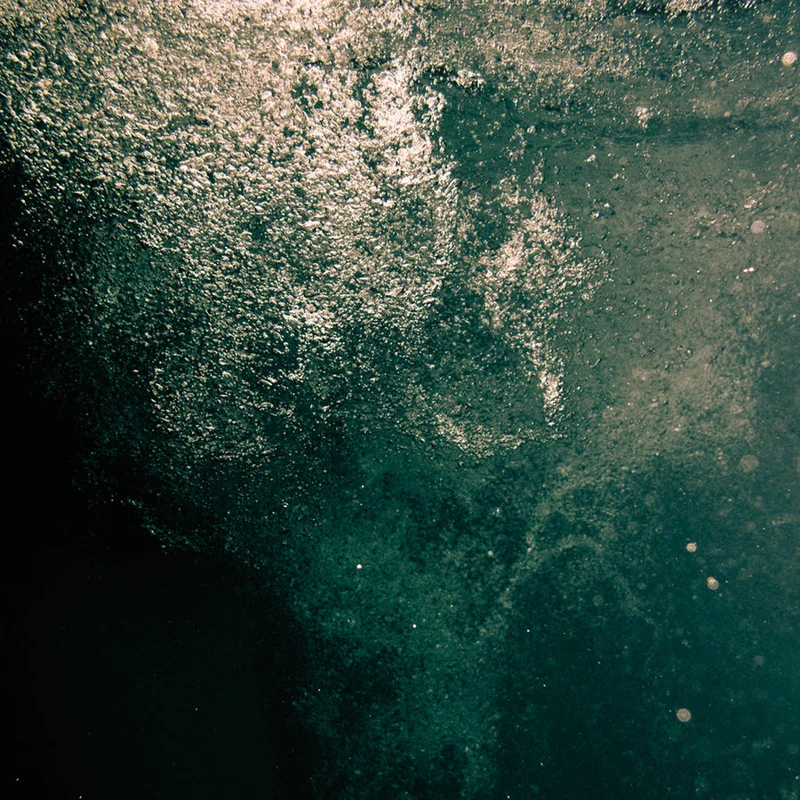 2026_05_10_3272828