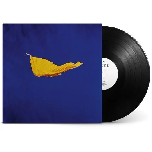 strangerthanparadiserecords202605071356102748449